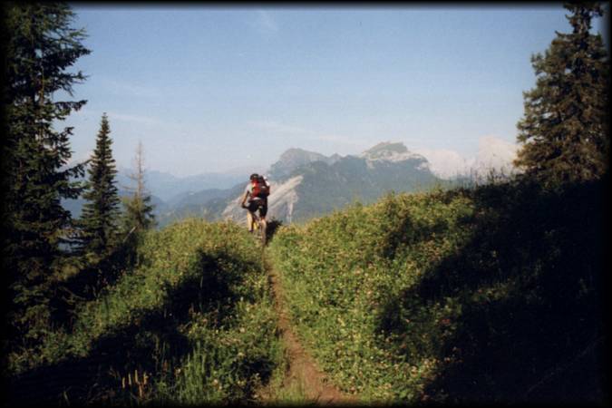 Auch wenn man vom Rif. Staulanza zunächst einige Höhenmeter rauf muß, so sind die Trails runter nach Alleghe einfach nur klasse!