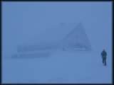 Maasel bei heftigem Schneesturm kurz vorm Hohneck-Haus