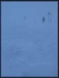 Maasel in der vereisten Schneelandschaft bei der mhsamen Wegsuche vom Hohneck zurck zum Parkplatz an der Strae