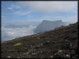 Dunkles vulkanisches Gestein zwischen hellem Kalk am Molignon-Gipfel