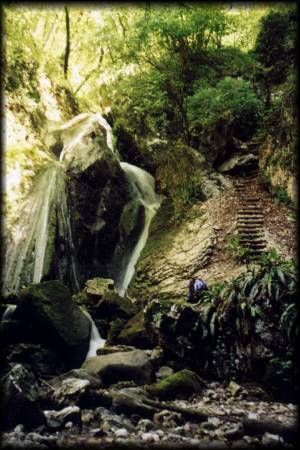 Der idyllische Abstieg vom Castello runter in die Schlucht am Rio Sallagoni