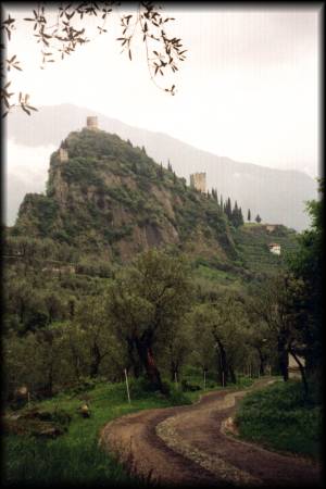Kurz hinter der Via Crucis fing der anspruchsvolle Steig zum Monte Baone an