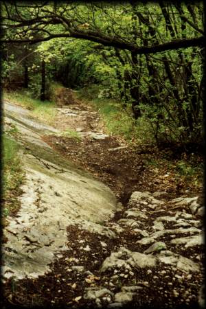 Die Pianaura-Trails hatten es stellenweise aufgrund der Nässe in sich - aber ein bißchen schieben gehört wohl dazu bei solchen "Wegen" :-)