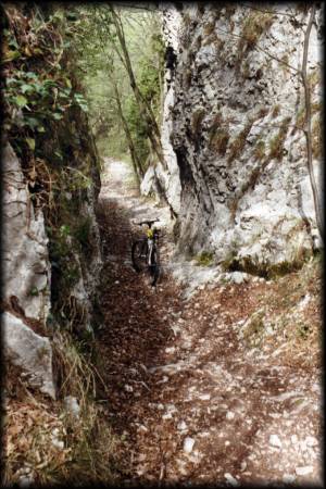 Diesen steilen Trail hinter der Kappelle Madonna del Faggio konnte ich noch fahrend bewältigen, aber manches Stück später war zu wüst ...