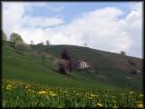 Idyllische Wiesenlandschaft beim Abstieg gen Madonna delle Neve