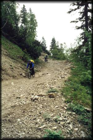 Diese steile Piste vom Plumssattel ins Tal erforderte gute Bremsen und ausreichend Fingerspitzengefühl
