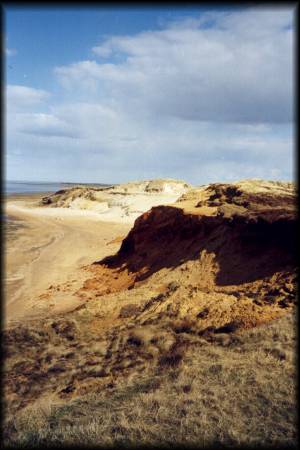 Das Morsum-Kliff - hier treten Erdschichten aus 10 Mio. Jahren zutage