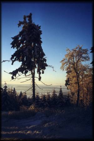 Winter 2001/2002 - die letzten Meter unterhalb des Großen Feldbergs per Bike auf der Rodelpiste