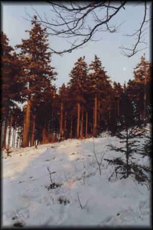 Querung der steilen Rodel-Piste unterhalb des Feldberggipfels