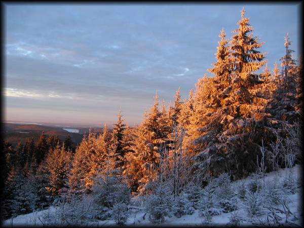 Ich war schon am Heimradeln, als die untergehende Sonne doch noch mal durch die Wolken kam und ein tolles "Taunus-Glühen" erzeugte ...