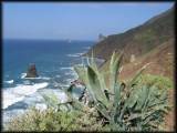 Blick entlang der Küste bis zum Roque de Dentro