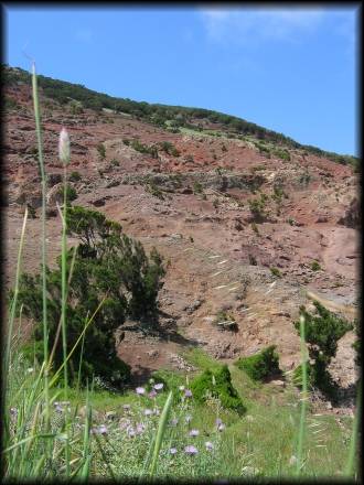 Beim Rückweg vom Roque El Toscon durch die bunte Erosionslandschaft habe ich mich zunächst auch noch mal ein paar Meter verlaufen ...