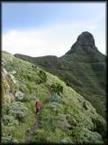 Beim Rundweg um den Roque de Taborno auf stellenweise recht rutschigen Pfaden
