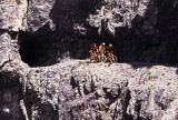 Felswand im berühmten Val d'Uina