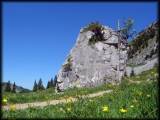 Netter 5 m-Boulderfelsen am Wegesrand beim Aufstieg gen Roßstein, dessen Besteigung ich mir nicht entgehen lassen wollte